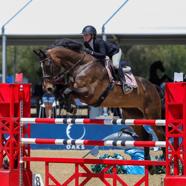 Horse and rider jumping over a red and white obstacle.
