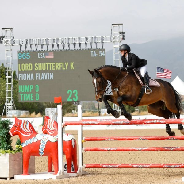 Equestrian jumping competition with rider and horse clearing a red obstacle.