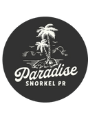 Snorkeling with Sea Turtles