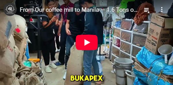 Fresh roasted Arabica coffee beans from Bukidnon Philippines