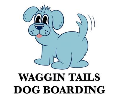 Waggin tails sales dog boarding