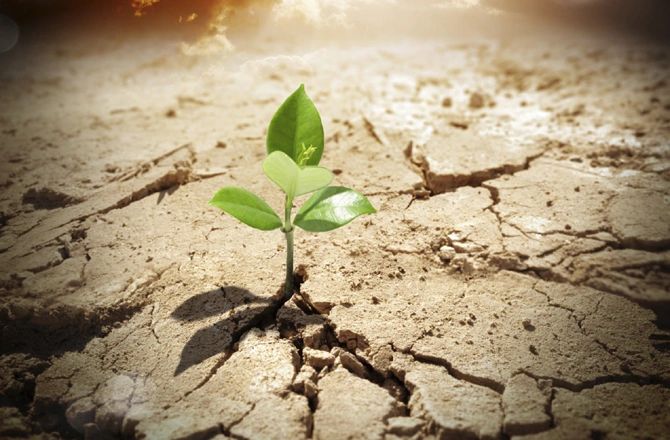 Black Counselling and Consulting Services LTD. logo