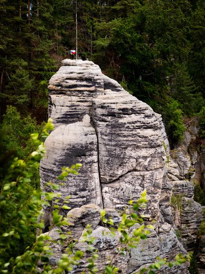 Tall rock formation with a small flag on top, surrounded by forest.