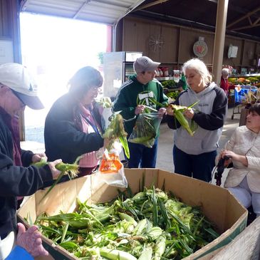 Group of people in farm store selecting corn on the cob.