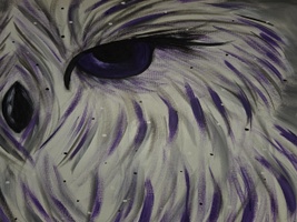 The Purple Owl Campground