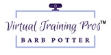 Virtual Training Pros