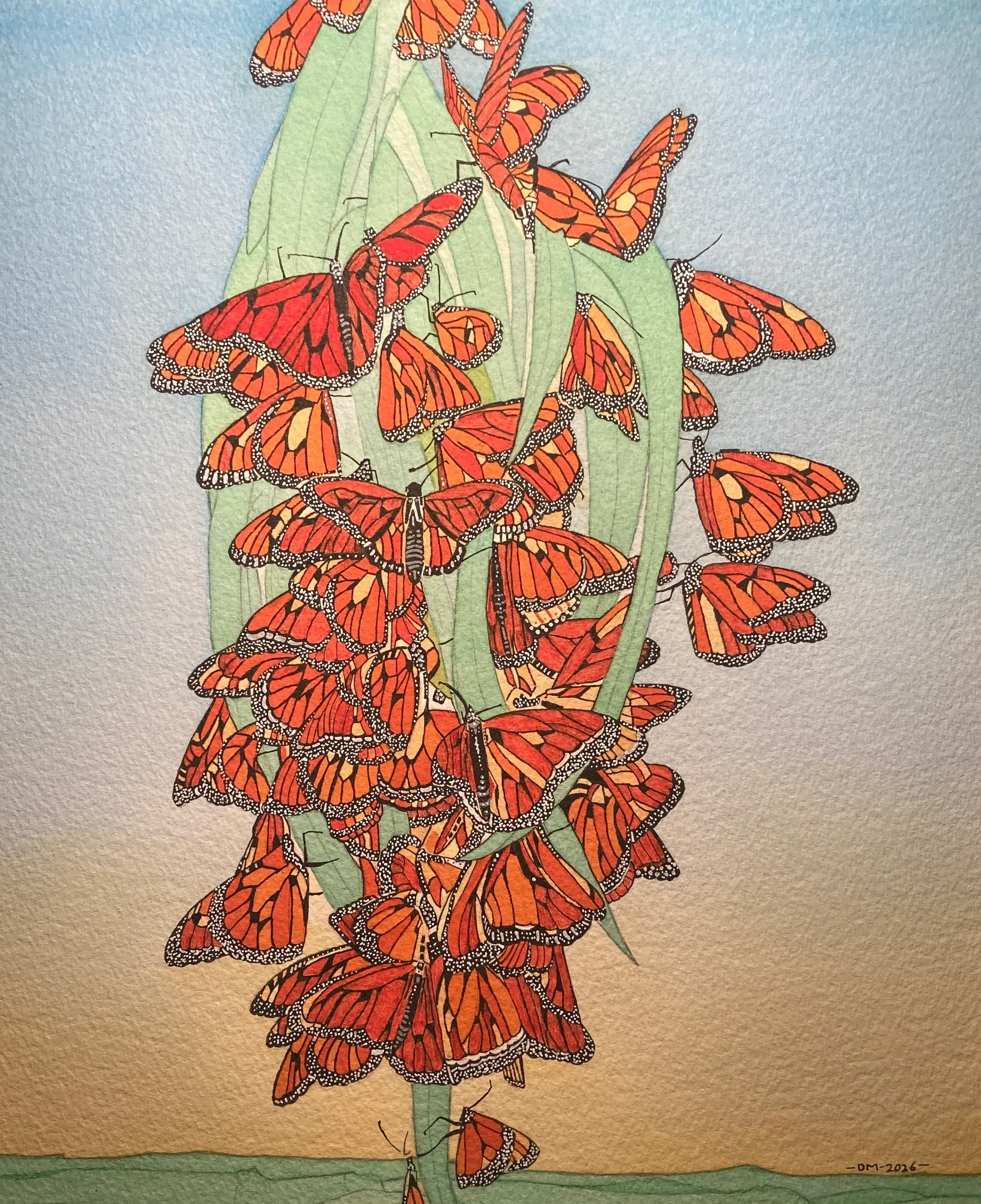 Sleeping Monarchs 2026, 11 X 14, watercolors, ink and acrylic. 