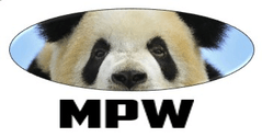 MPW Market Analysis