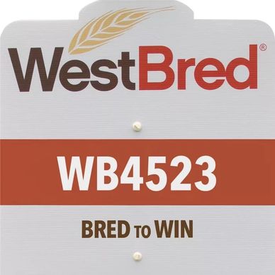 Wb4523