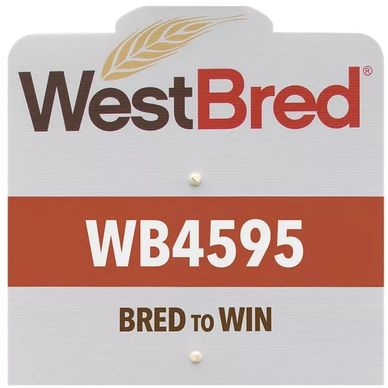 WB4595 sign