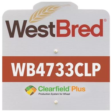 WB4733CLP