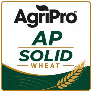 AgriPro logo for AP Solid Wheat.