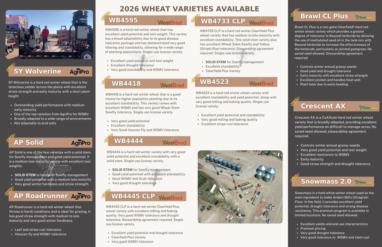 2026 wheat varieties overview with features and strengths for different types of wheat.