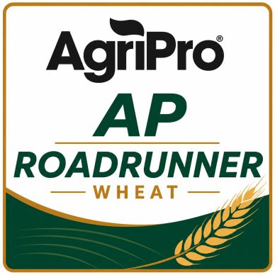 Logo for AgriPro AP Roadrunner Wheat.
