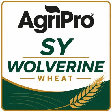 AgriPro SY Wolverine Wheat logo with wheat graphic.