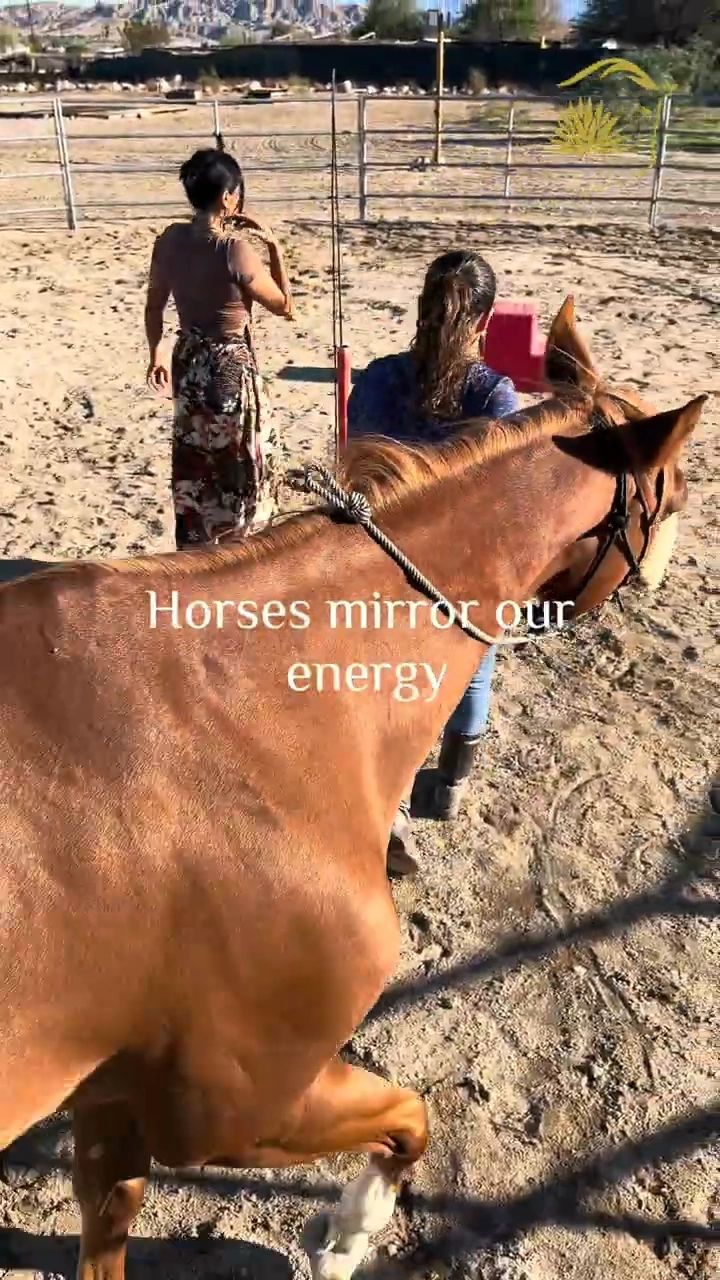 Equine Mobile Ranch