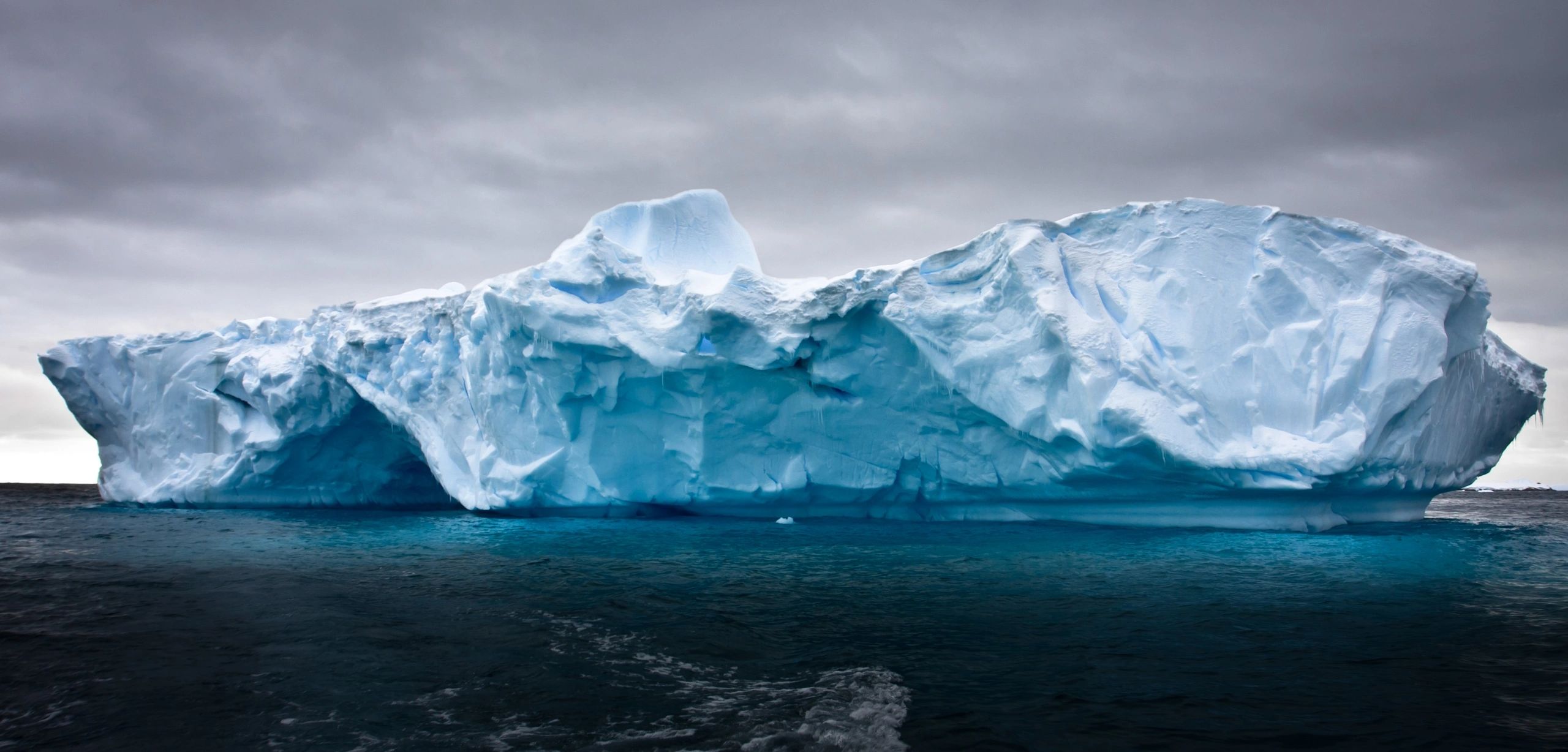 Iceburg