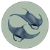 Manta Crafts