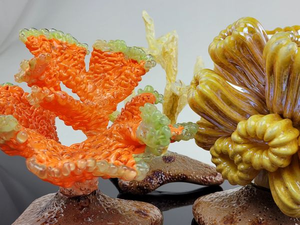 blown glass coral sculpture montipora eusmilia staghorn acropora ethan crawford ethanglassworks