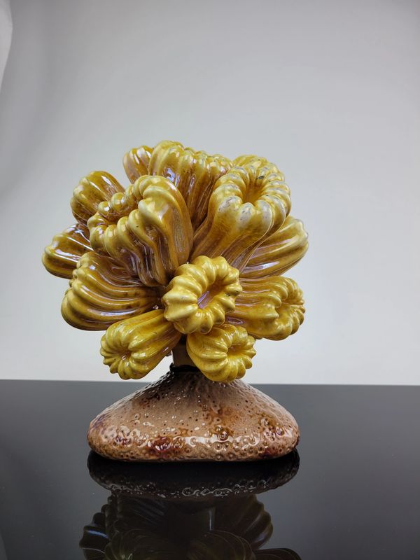 Ethan Glassworks - Artist, Glass, Coral