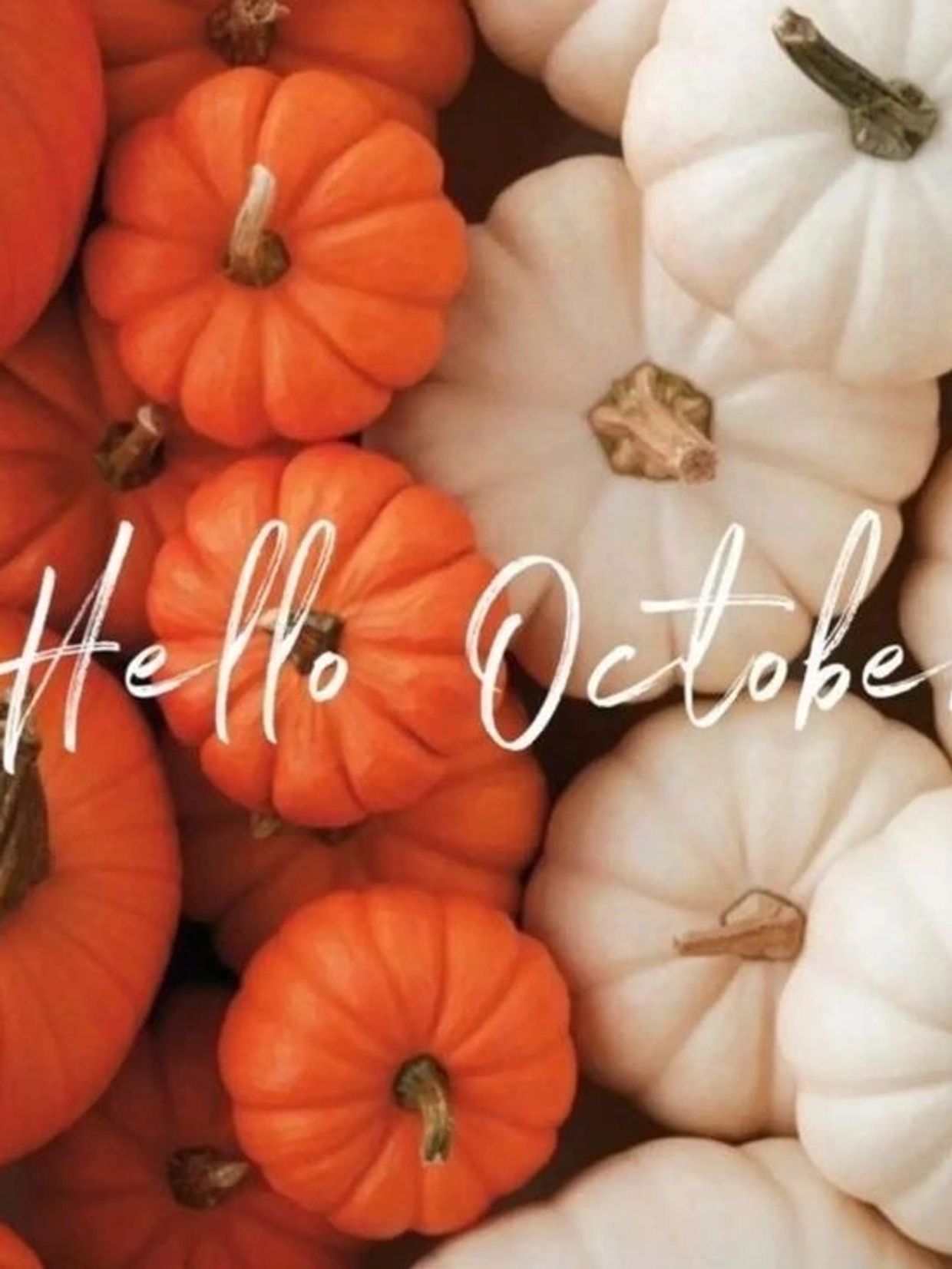 Orange and white pumpkins with 'Hello October' text.