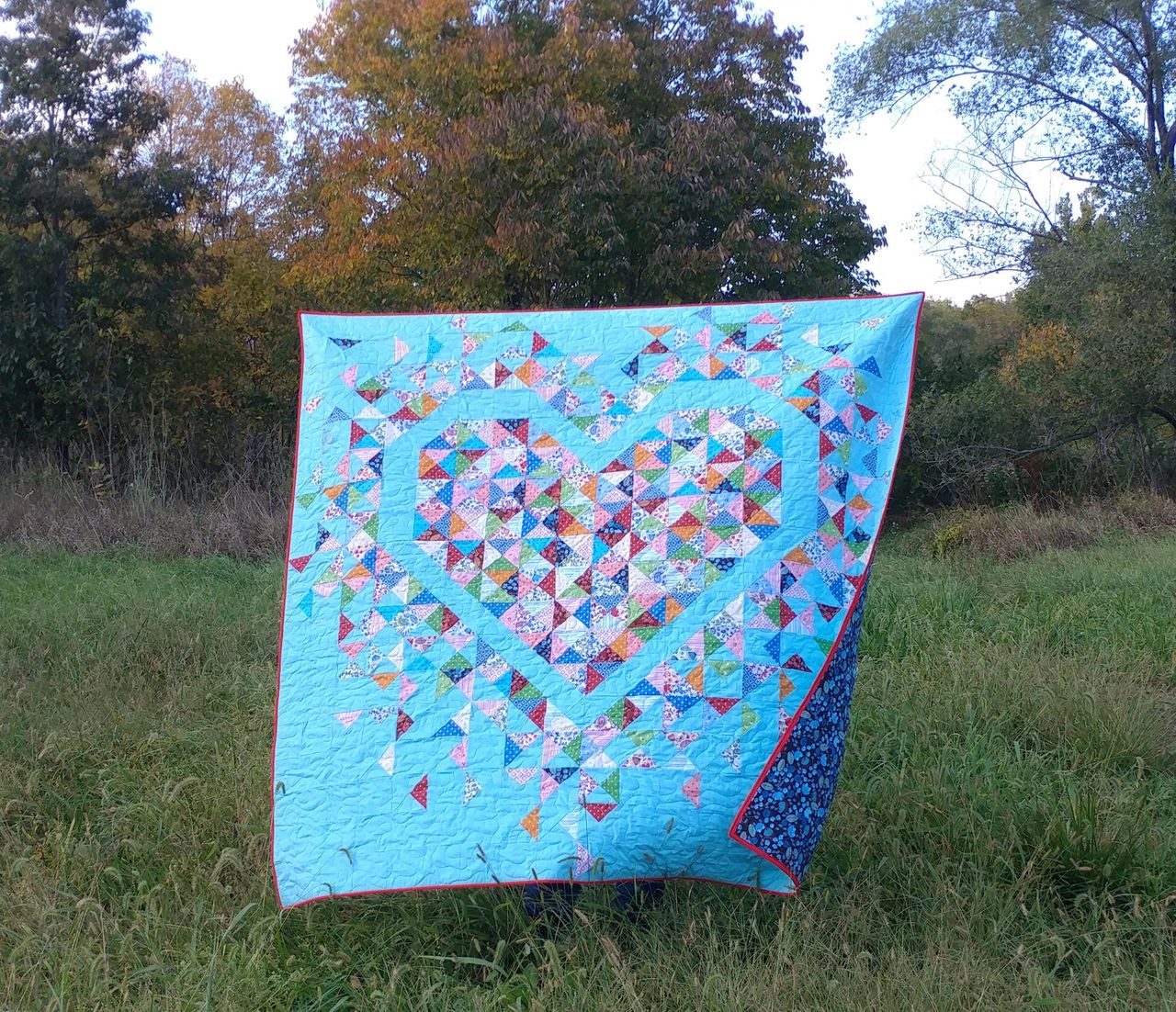 Exploding Heart Quilt Along