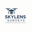 Skylens Surveys