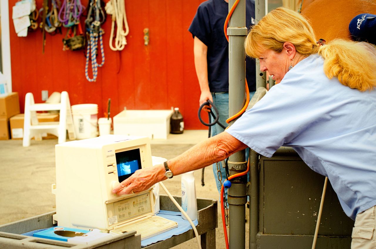 Dr Liz Scott of Idaho Equine Hospital uses ultrasound to look for fluid in a mare’s uterus that may indicate the presence of an infection Dr Liz Scott of Idaho Equine Hospital uses ultrasound to look for fluid in a mare’s uterus that may indicate the presence of an infection