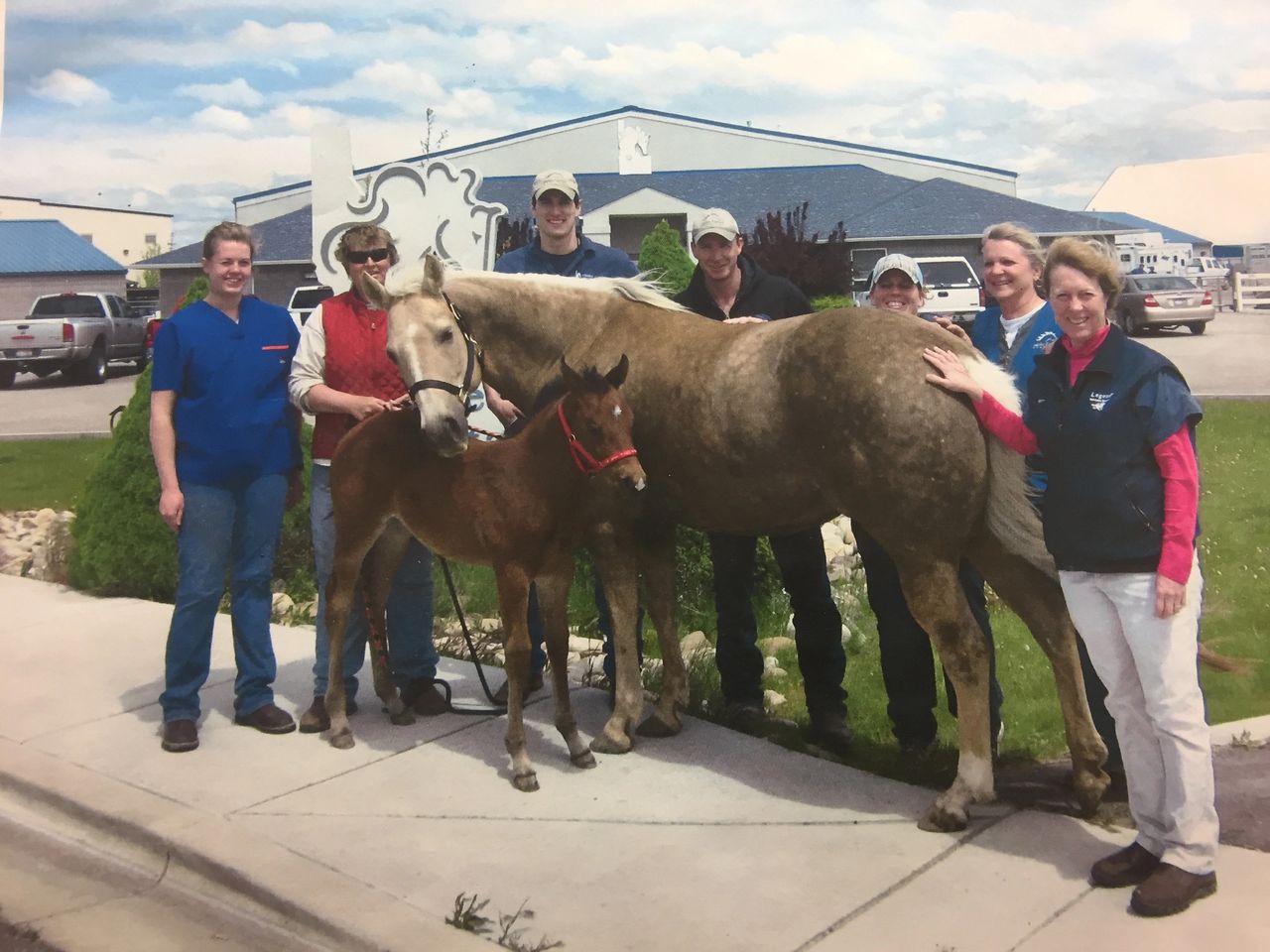 Ava, her recipient mare Zsa Zsa, Kris Troxel, and the IEH crew celebrating the miracle of Ava’s conception, transfer and arrival in 2010. Ava, her recipient mare Zsa Zsa, Kris Troxel, and the IEH crew celebrating the miracle of Ava’s conception, transfer and arrival in 2010.