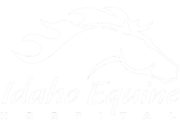 Idaho Equine Hospital