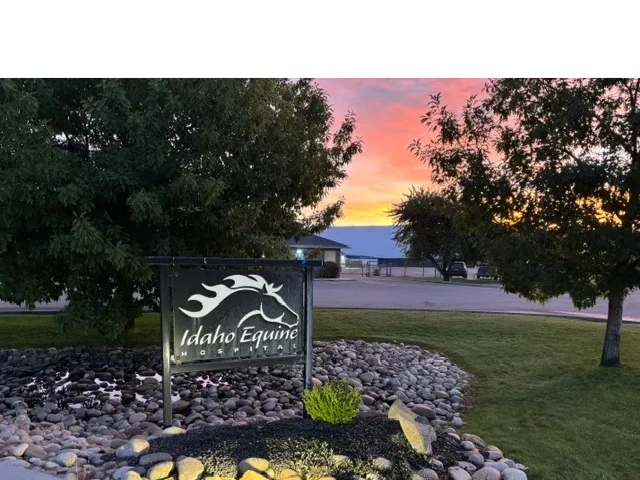 TOP 10 BEST VETERINARIANS NEAR MOSCOW ID visual data 6