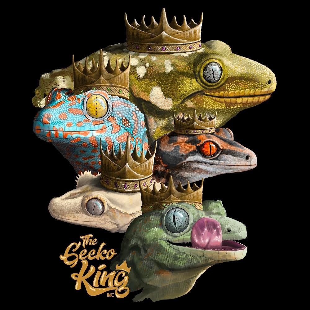 gecko king tour