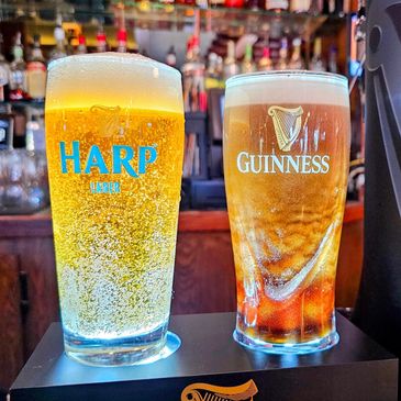 Guinness and Harp Irish Lager