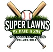 Super Lawns by Dave and Son