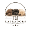 DJ Labradors