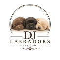 DJ Labradors