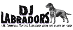 DJ Labradors
