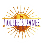 Hollee’s Danes 