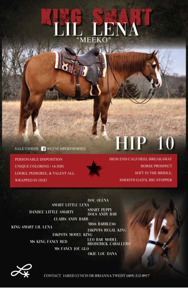 Profile poster of King Smart Lil Lena horse with detailed traits and pedigree.
