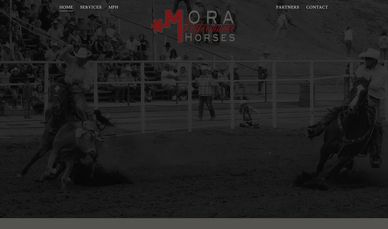 Two riders compete in a rodeo event in an arena.