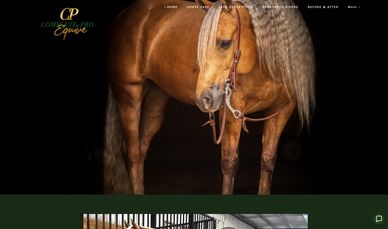 A golden horse with a braided mane against a dark background.
