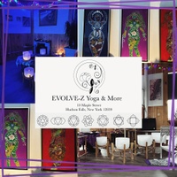 Evolve-Z, LLC
