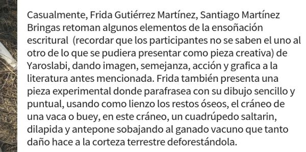 Texto que analiza elementos de la ensoñación escritural y una pieza experimental con cráneo de vaca o buey.