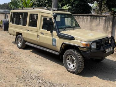 Beige off-road vehicle parked on a dirt road near tropical trees.