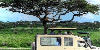 Tanzania Safaris with www.yaotanzaniasafaris.com