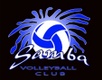 Samba Volleyball Club