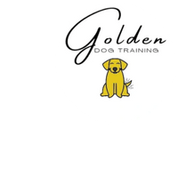 Golden DOg Training