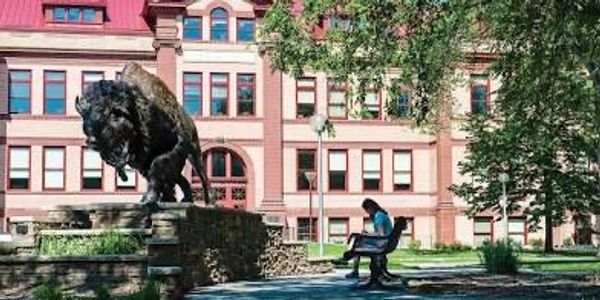 Statue of a buffalo near a person sitting on a bench outside a historic building.