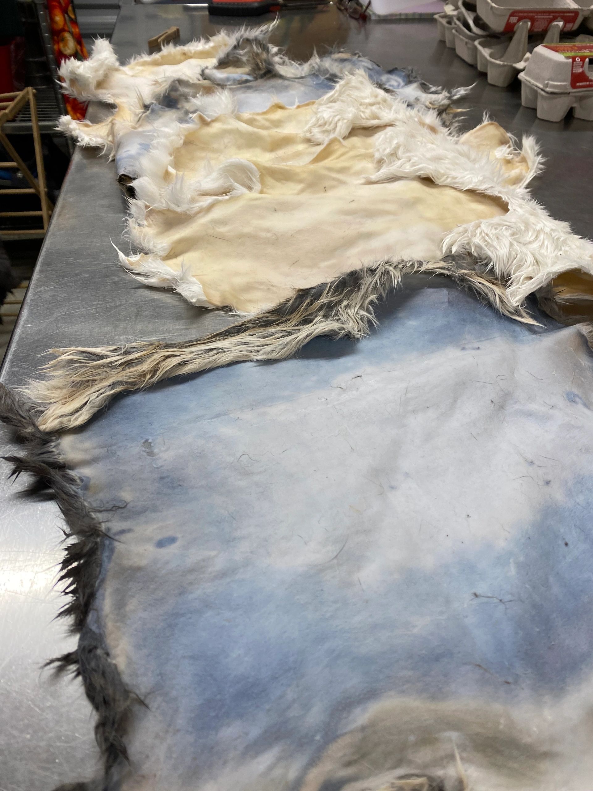 How to Tan a Rabbit Hide – Mother Earth News