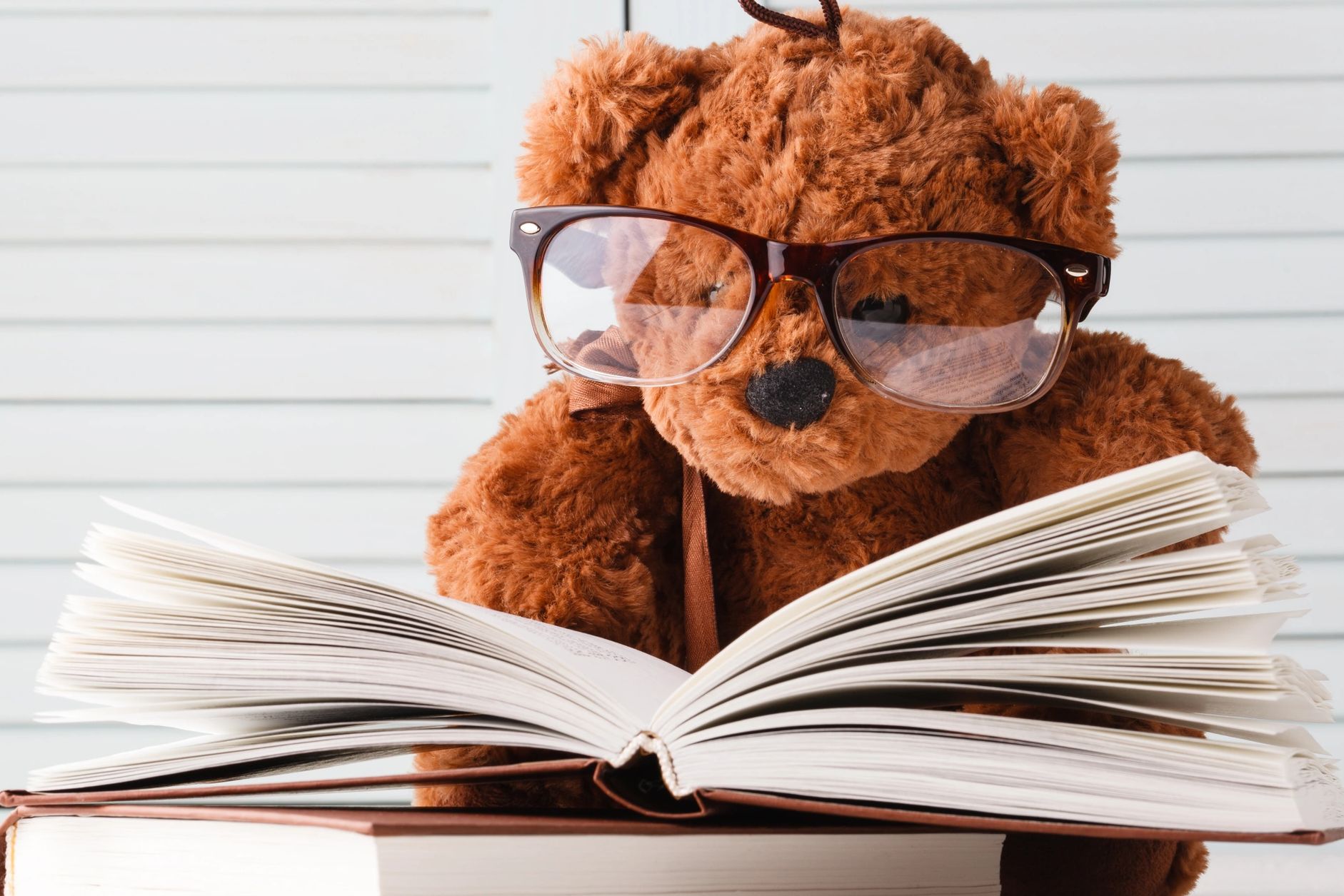 Teddy bear wearing glasses reading an open book on a white table.